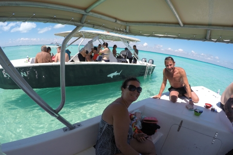 Excursion de plongée avec masque et tuba pour les requins-baleines au départ de Cancun et Riviera MayaOption standard