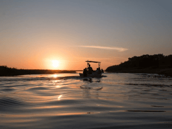 La Crucecita: Excursión a la Bioluminiscencia y las Tortugas de la Laguna Mágica