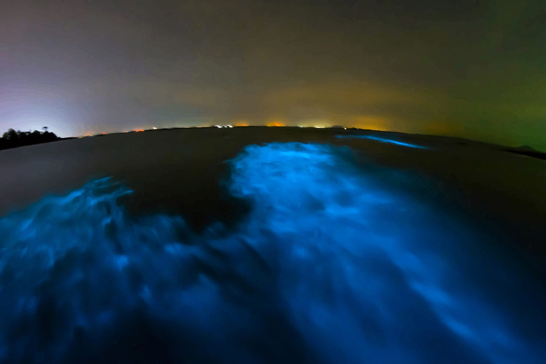 La Crucecita : Visite de la lagune magique avec bioluminescence et tortues