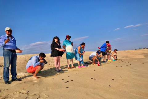 La Crucecita : Visite de la lagune magique avec bioluminescence et tortues
