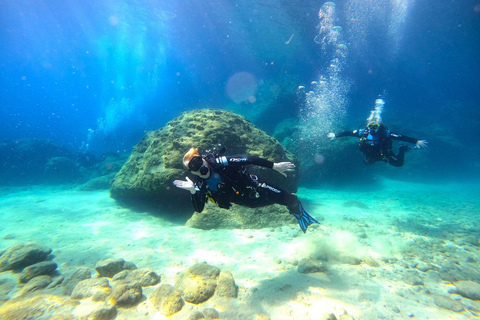 Zakynthos: Scuba Diving Experience with Underwater Photos Double dive discover scuba diving course