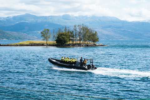 De Norheimsund: Hardangerfjord e Fyksesund RIB Fjord Tour