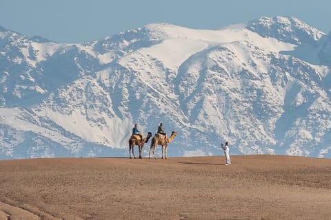 Full-Day Desert and Mountain Tour with Camel Ride