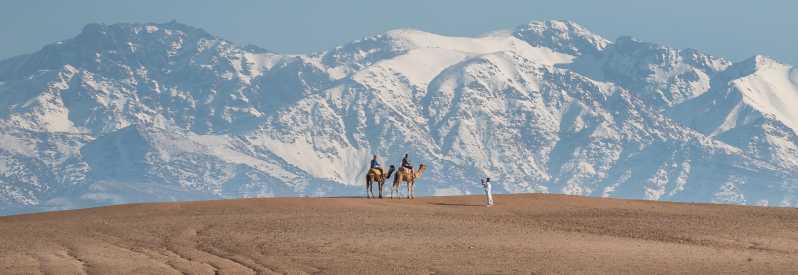 Full-Day Desert and Mountain Tour with Camel Ride