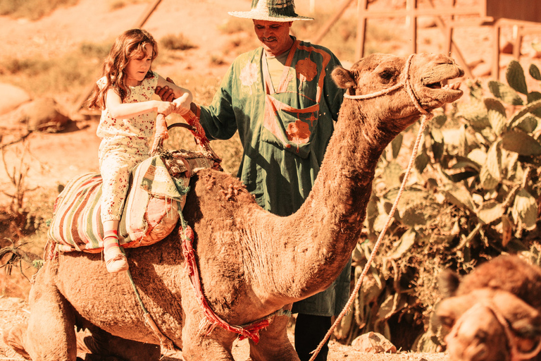 Full-Day Desert and Mountain Tour with Camel Ride Standard Option