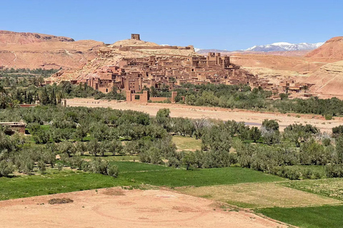 Private Day Trip from Marrakech to Kasbah Ait Benhaddou Standard Option