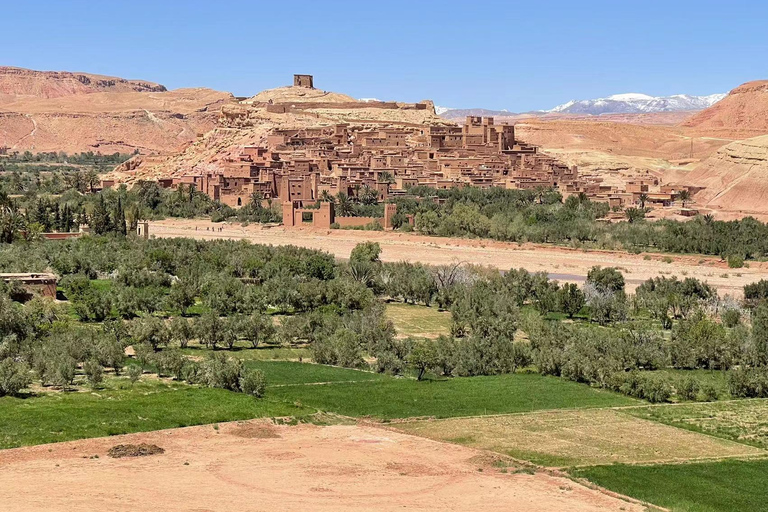 Private Day Trip from Marrakech to Kasbah Ait Benhaddou Standard Option