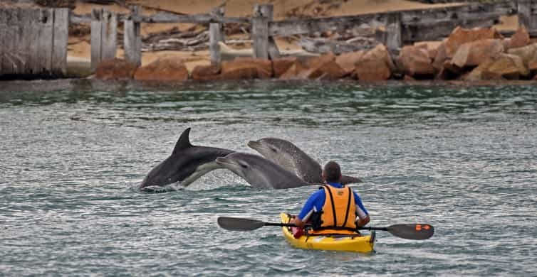 From Melbourne: 5-Day Victorian Alps & Gippsland Lakes Trip | GetYourGuide