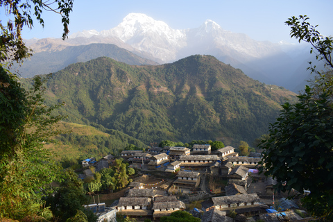 Pokhara: Caminhada particular de 5 dias em Ghorepani e Poon HillDe Pokhara: caminhada privada de 5 dias em Ghorepani e Poon Hill