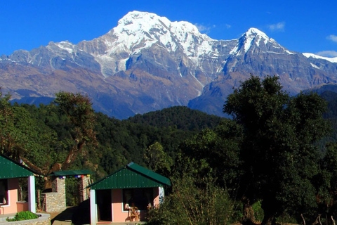 Pokhara: 5 dni Ghorepani Poonhill TrekOpcja standardowa