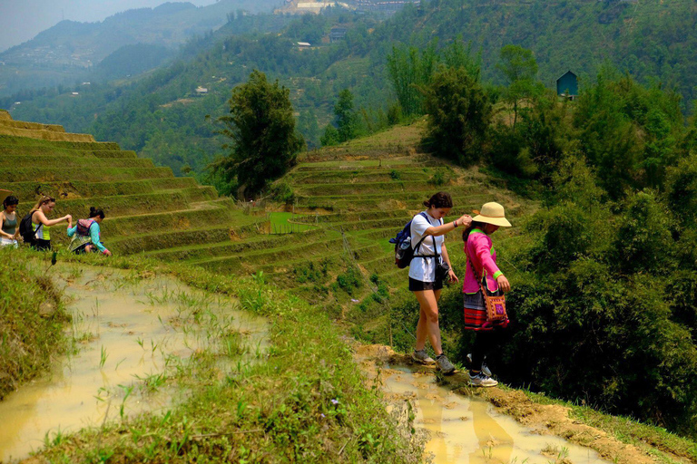 Desde Hanoi: 2 días por Fansipan y el valle de Muong Hoa en Sa PaOpción Estándar