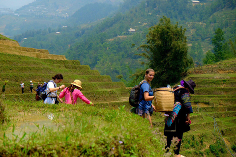 Desde Hanoi: 2 días por Fansipan y el valle de Muong Hoa en Sa PaOpción Estándar