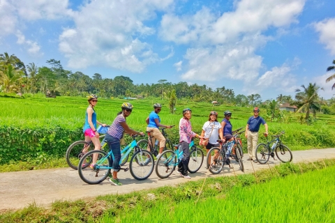 Descenso Cultural en Bicicleta por Ubud y Visita a las Terrazas de ArrozOpción Estándar