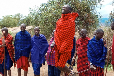 Excursión de un día al Parque Nacional Amboseli desde NairobiOpción Estándar