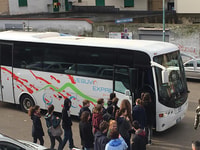 From Ercolano, Vesuvio Park Entry Ticket and Roundtrip Bus - Housity