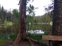 Biogradska Gora National Park - Monastery & Moraca Canyon - Housity