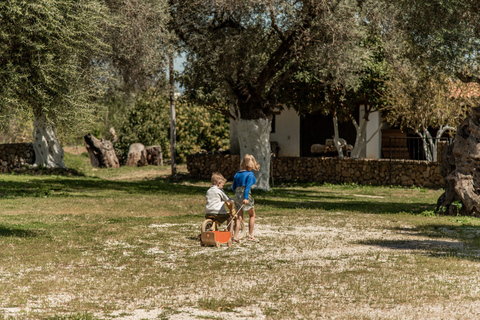 Safaris de lujo en jeep por Chania: Secretos de la cata de vino y aceite de olivaJeep Premium