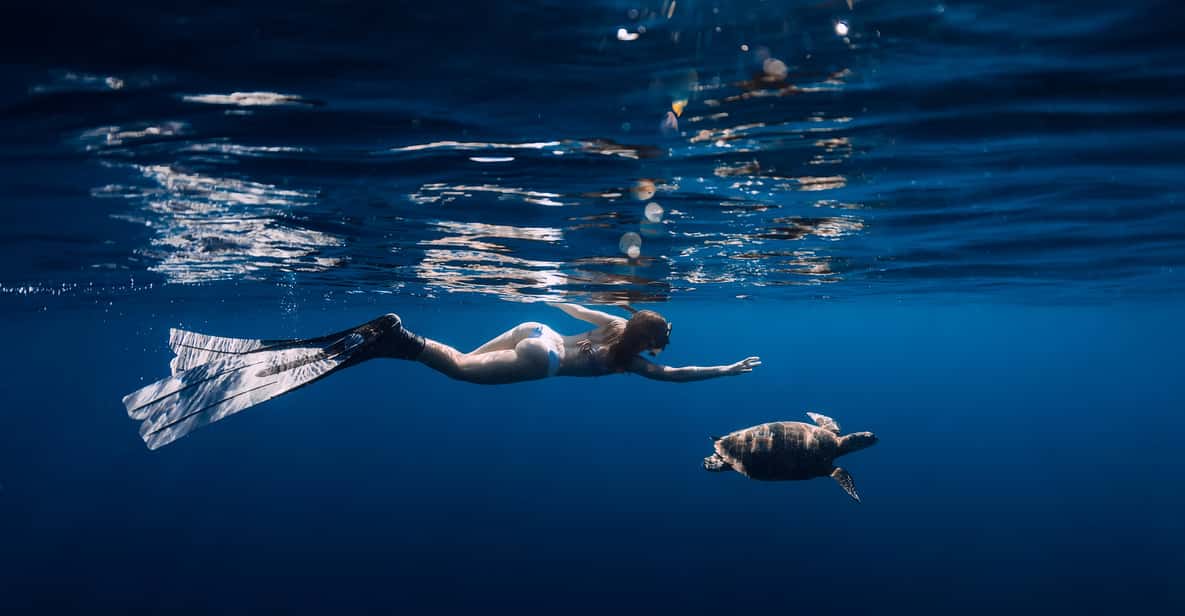 Oahu Waikiki Turtle Snorkeling Tour GetYourGuide