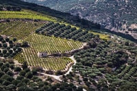 Chania Luxury Jeep Safaris, Wine & Olive Huile Secred Secrets - Housity