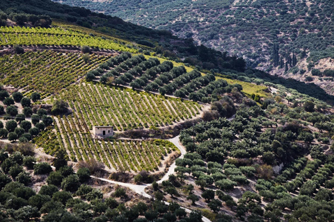 Safáris de luxo em jipe em Chania: Segredos da degustação de vinhos e azeite de olivajipe premium