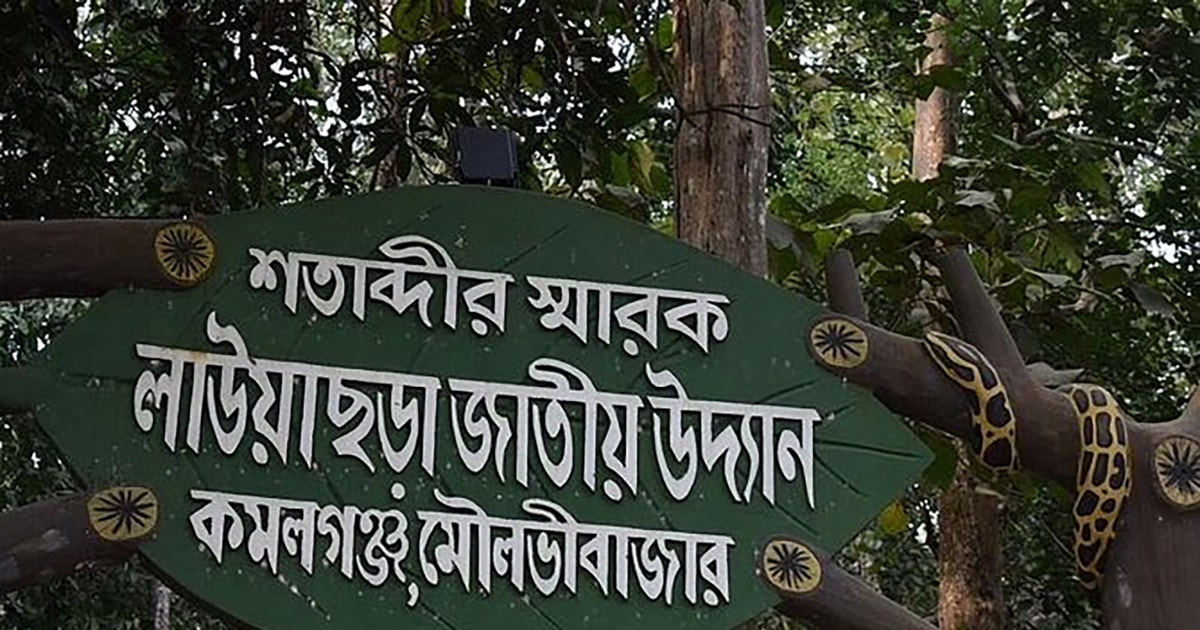 Srimangal Übernachtungstour ab Dhaka GetYourGuide