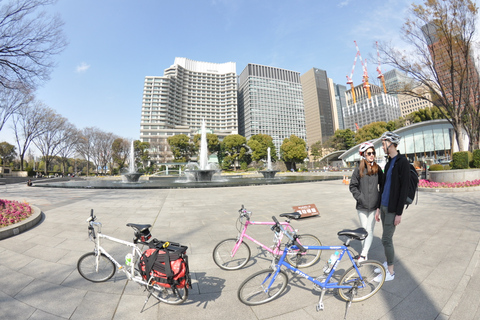 Tokyo: Tour privato in bicicletta con una simpatica E-bike