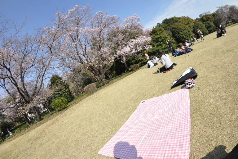 Tokyo: Private Cycling Tour with cute E-bike