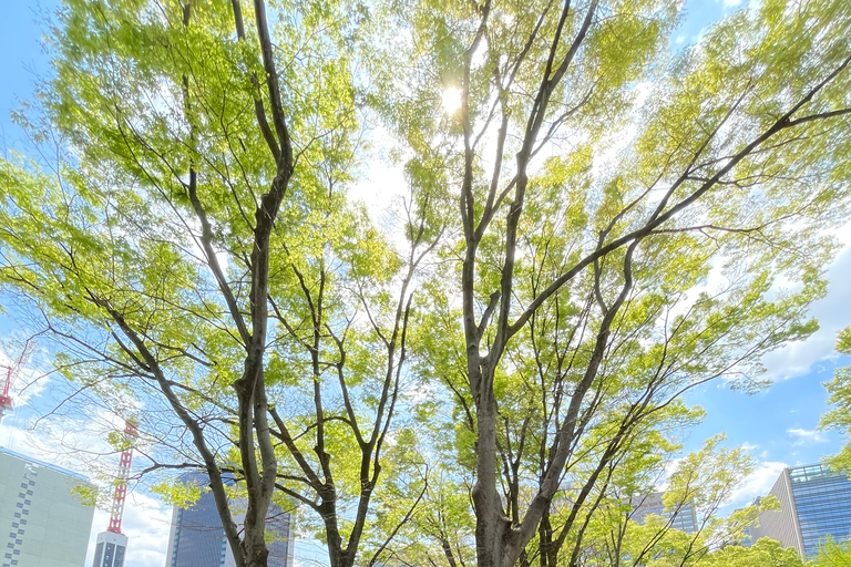 Tokio: Private Fahrradtour mit dem E-Bike