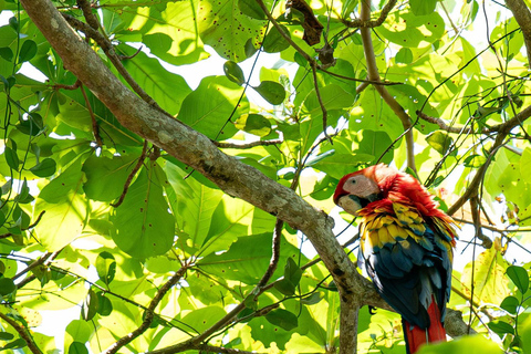 From San José: Jacó Beach Full-Day Pacific Coast Tour