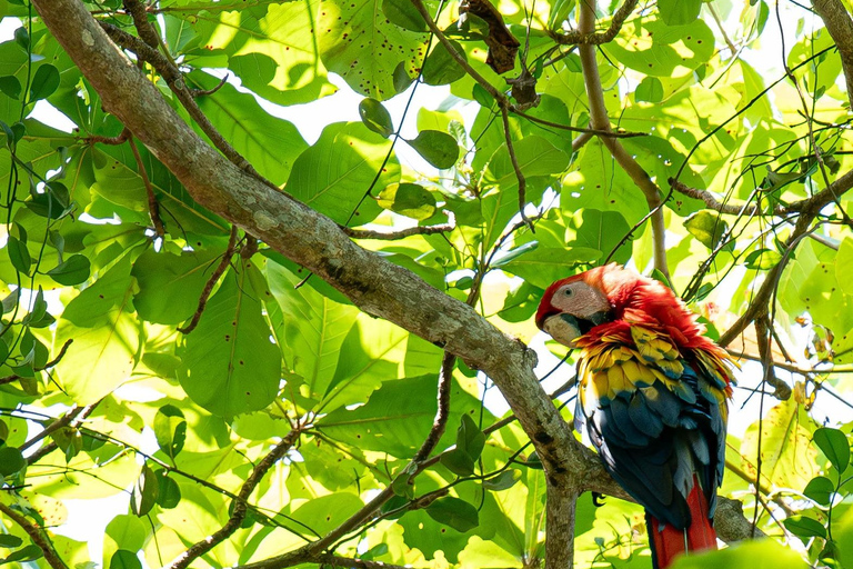 From San José: Jacó Beach Full-Day Pacific Coast Tour