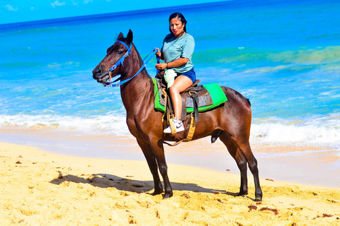 Punta Cana: Paardrijden bij zonsondergang aan het strand met ophaalservice vanaf je hotelWe kunnen altijd coördineren als we beschikbaar zijn.