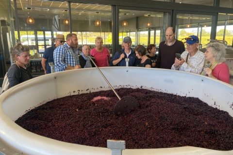 The Barossa Valley: tour de vinos premium para grupos pequeños con almuerzoEl valle de Barossa: tour de vinos premium en grupos pequeños con almuerzo