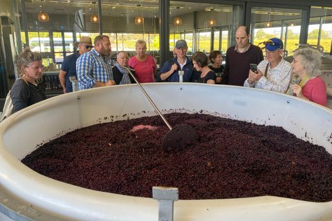 The Barossa Valley: Premium wijntour met kleine groepen met lunchDe Barossa Valley: Small Group Premium wijntour met lunch