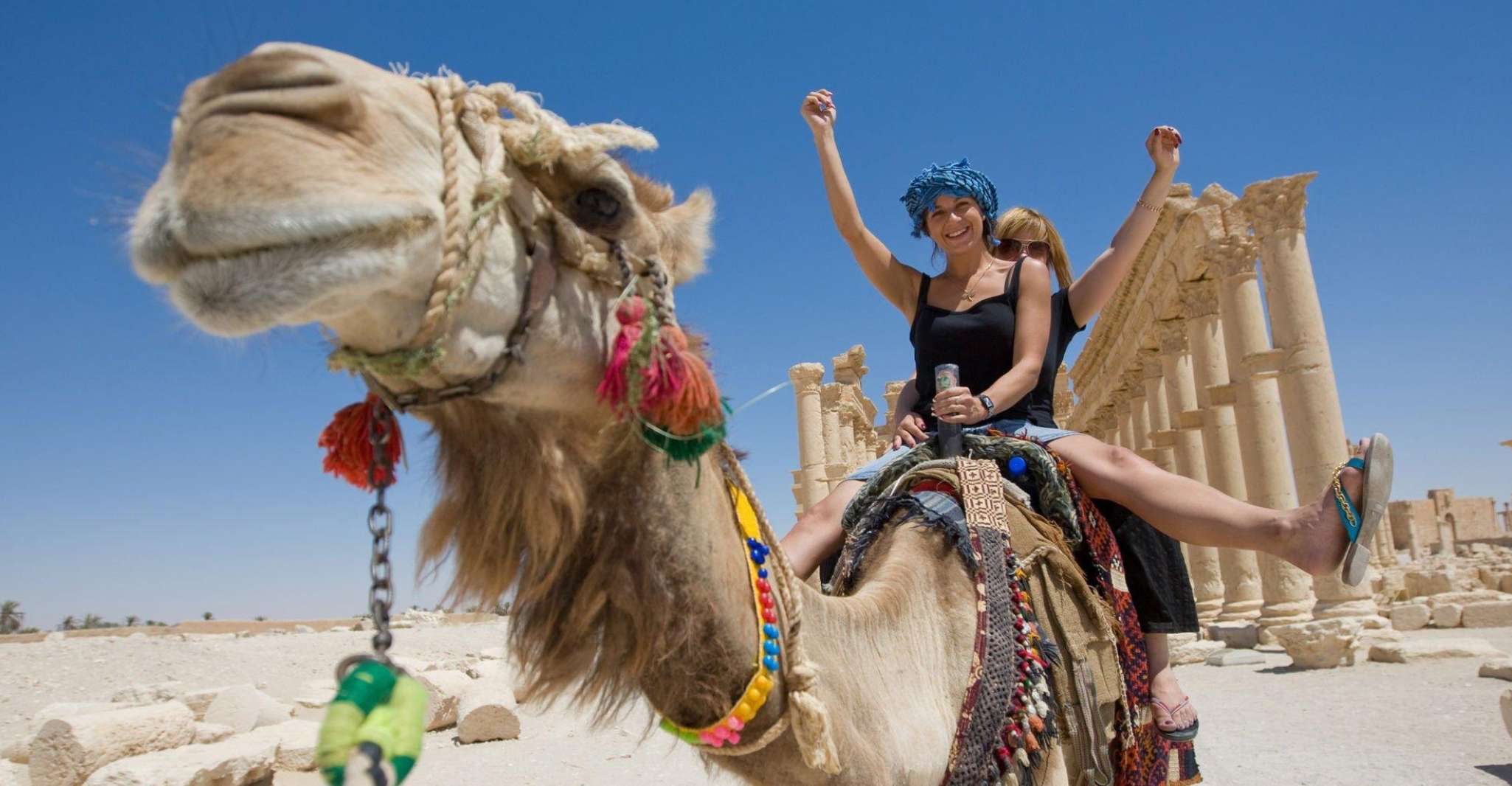 Agadir or Taghazout, Camel Riding and Flamingo River Tour - Housity