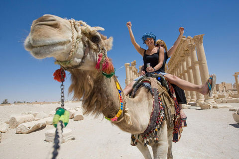 Agadir/Taghazout: Camel Riding and Flamingo River Tour Sunset Camel Ride with Dinner