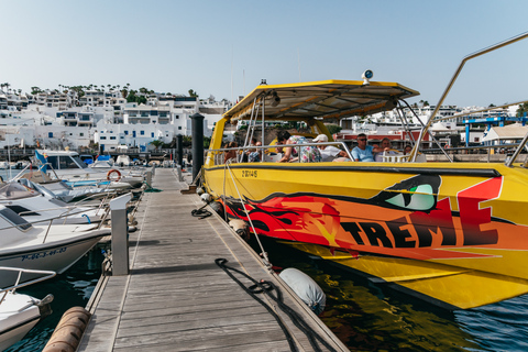 Lanzarote : croisière au crépuscule avec dauphins