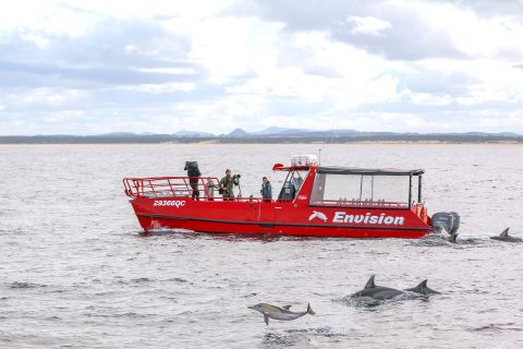 Nelson Bay: 1-hour Dolphin Watching Cruise with Commentary