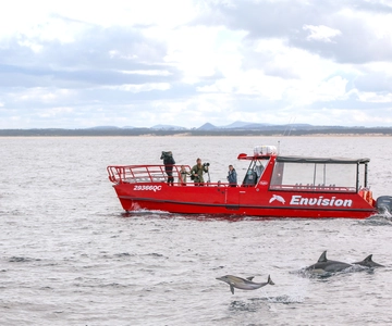 Nelson Bay: 1hr Dolphin Watch Express