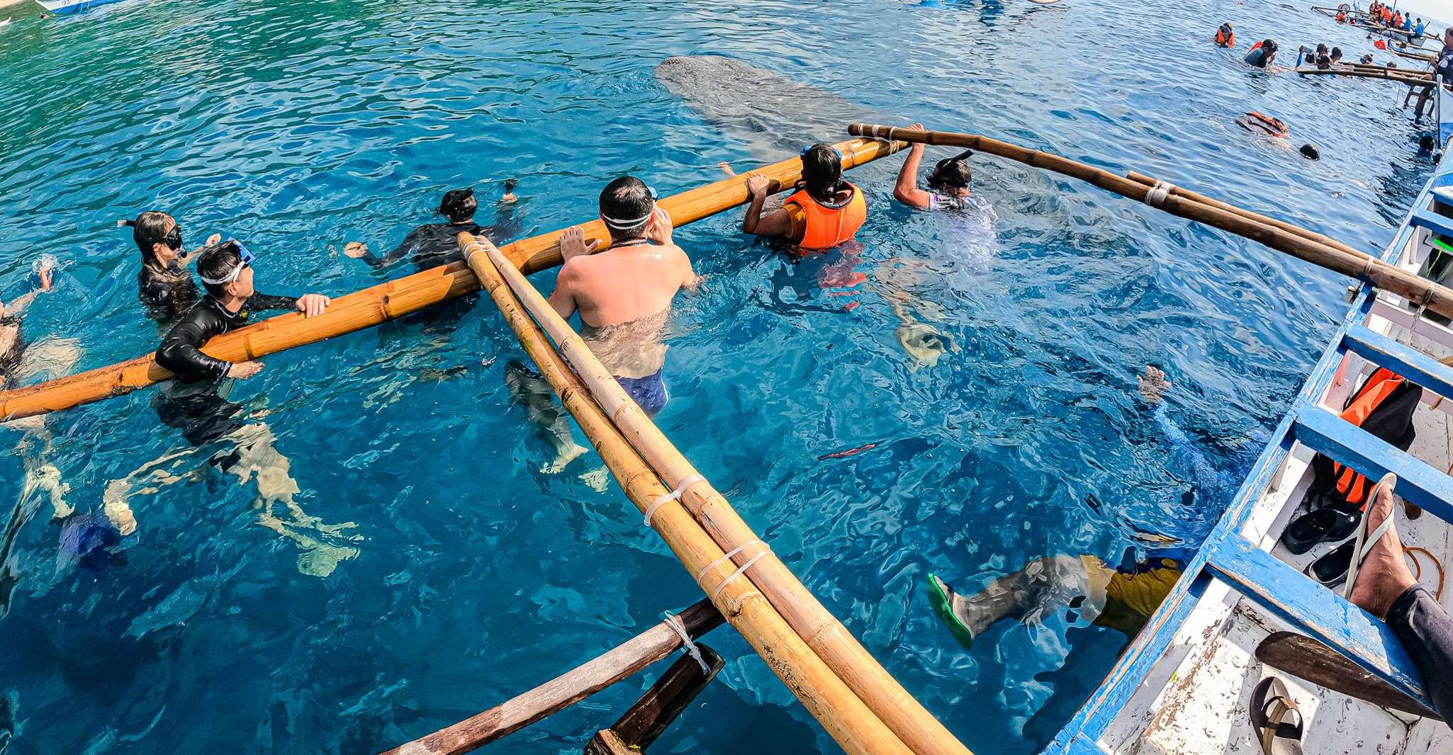 Von Cebu, Oslob Whale Shark Schnorcheln und Canyoning Tour - Hizvo