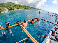 Von Cebu, Oslob Whale Shark Schnorcheln und Canyoning Tour - Hizvo