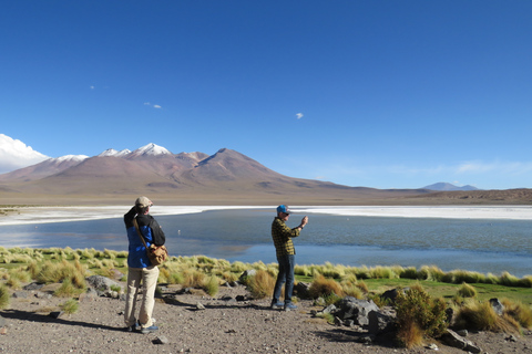 Depuis Uyuni : Excursion privée d'une journée à la Laguna Colorada.Option standard