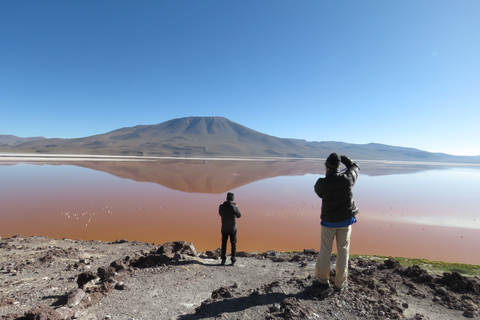 Desde Uyuni: Excursión privada de un día a Laguna Colorada.Opción Estándar