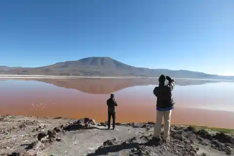 Desde Uyuni: Excursión privada de un día a Laguna Colorada.