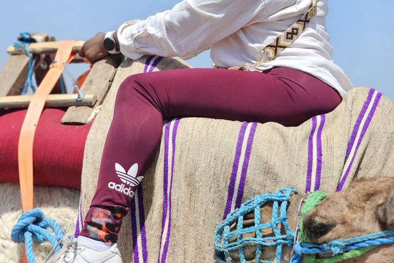 Hammamet: Combo Horse and Camel Ride in Nature Hammamamet: Combo Horse and Camel Ride in Nature