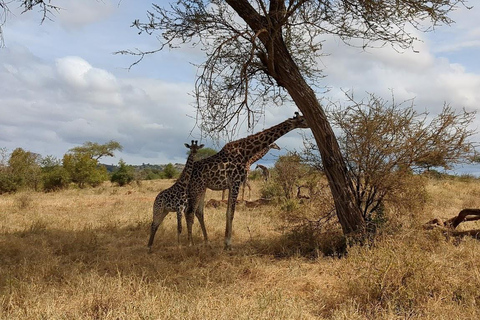 3-tägige Arusha, Tarangire und Materuni Wasserfall Tour