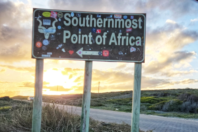 Au départ de Port Elizabeth : Circuit de 5 jours sur la Route des Jardins jusqu'au CapChambre privée Backpacker