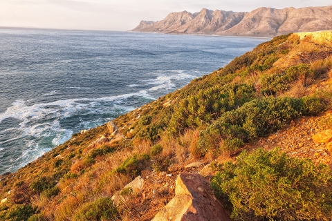 5 Day Garden Route Tour - Port Elizabeth to Cape Town Backpacker Private Room