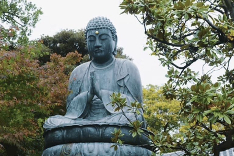 Tokyo: Old Tokyo Walk with Yanaka Retro Street & Nezu Shrine