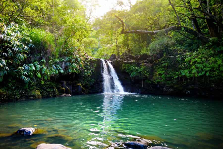 Süd-Maui: Road to Hana Selbstgeführte Audio-Tour. Foto: GetYourGuide
