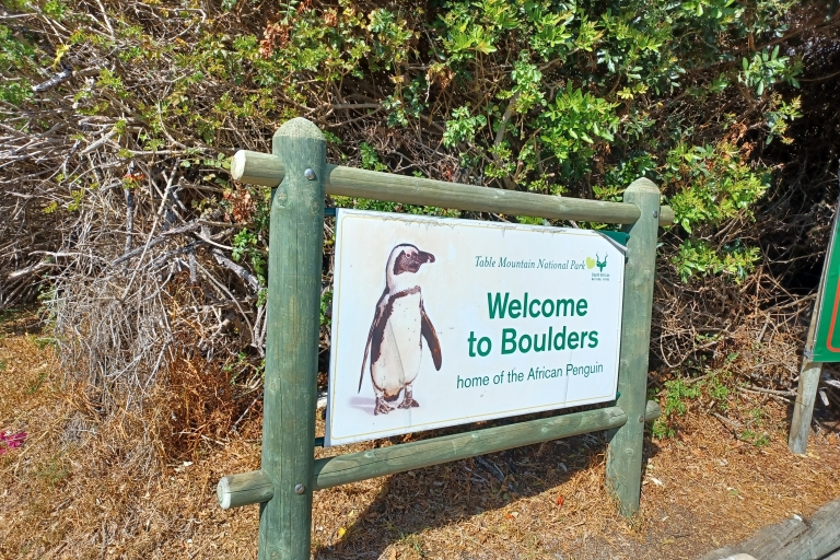 Excursion privée d'une demi-journée à la rencontre des pingouinsOption standard